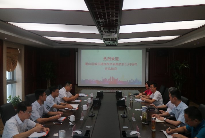 蜀山区城市建设投资有限公司谢公平董事长一行来我司调研