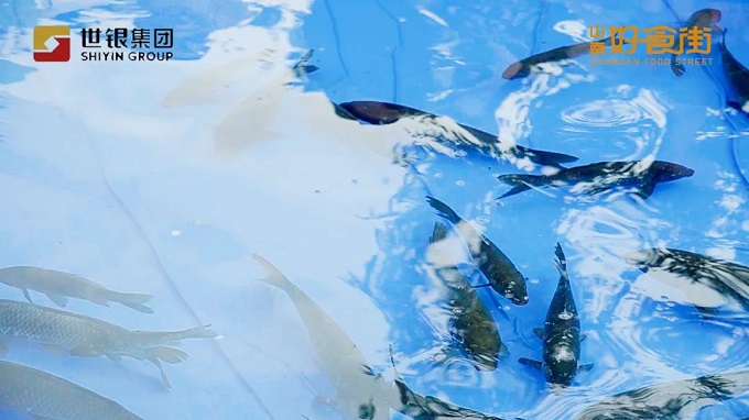 山南·好食街|真人捕鱼活动拉下帷幕， 现场乐翻天！
